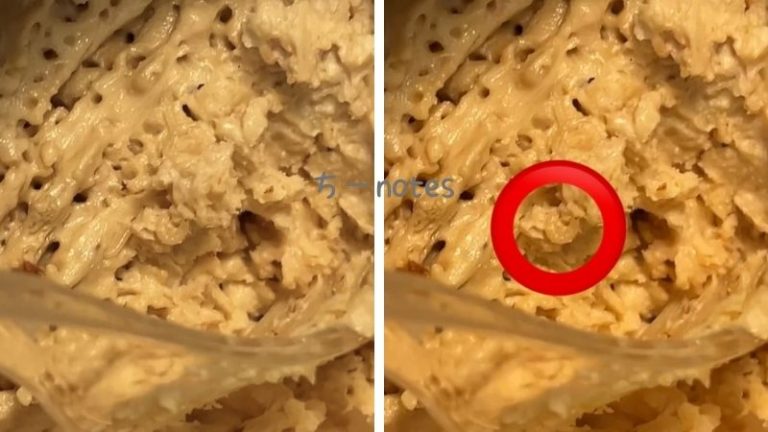 ウジ虫を食べるリスク