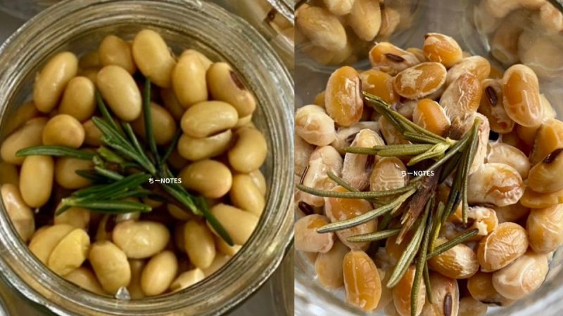 発酵前と発効後のローズマリー納豆